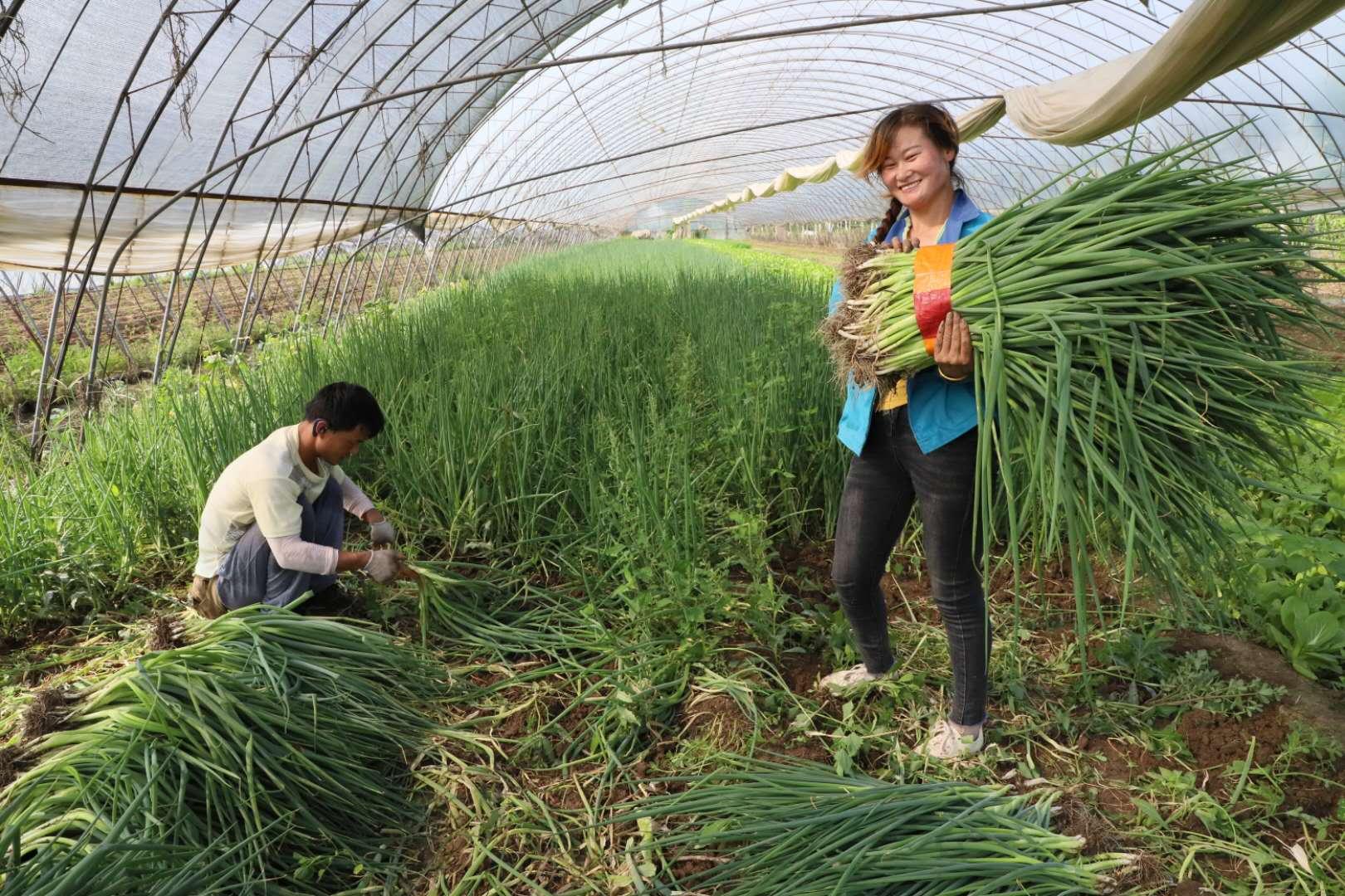 宿州西二铺最新规划｜宿州西二铺规划蓝图揭晓