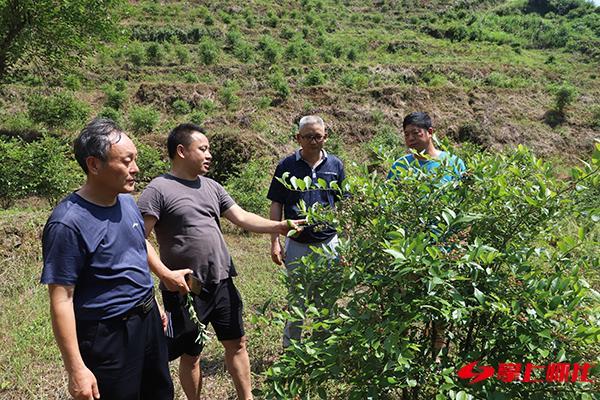 沅陵房源租赁资讯速递