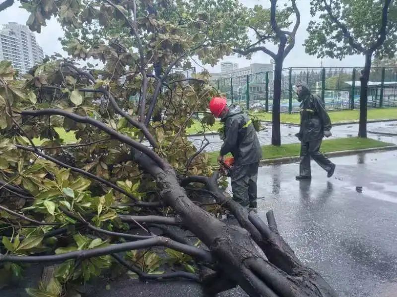 “台风好消息：温暖登陆江苏，共筑平安家园”