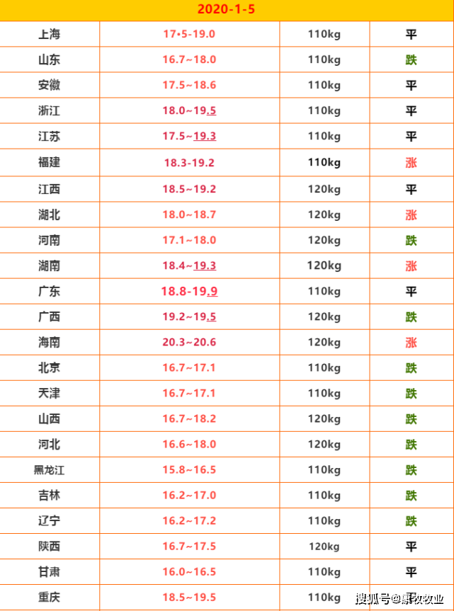 重庆猪价迎新升，明日行情看涨喜讯传