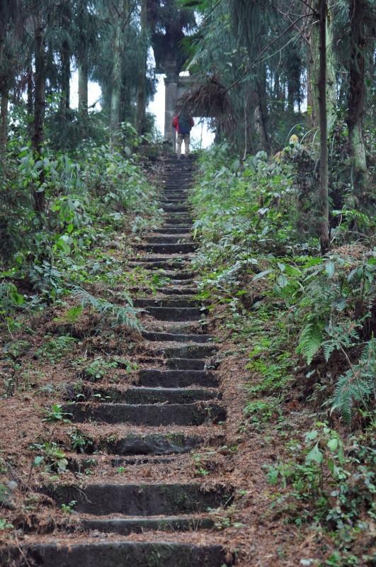 【成都大邑地区】最新职位速递：精选招聘资讯一览无遗