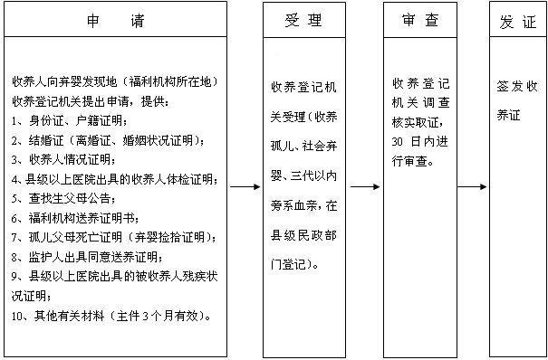 全面更新版：最新收养法规全解读